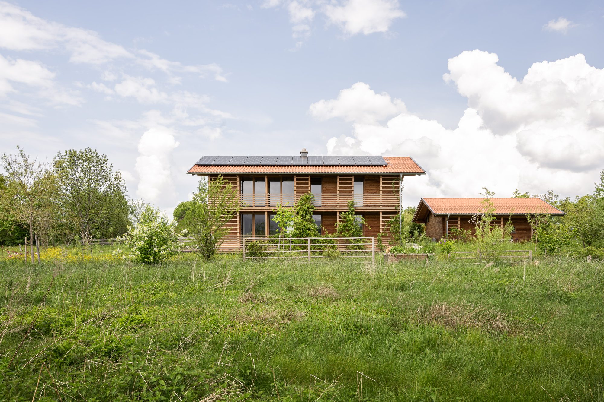 Holz100 Haus in der Landschaft